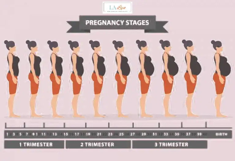 First Trimester (Weeks 1–12): Early Changes You Might Not Notice Old Trafford